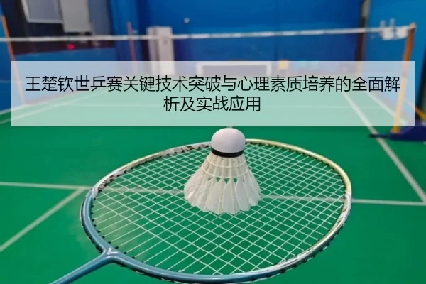 王楚钦世乒赛关键技术突破与心理素质培养的全面解析及实战应用（HTH SPORTS）